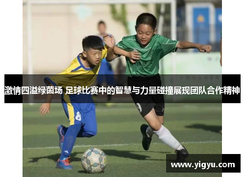 激情四溢绿茵场 足球比赛中的智慧与力量碰撞展现团队合作精神